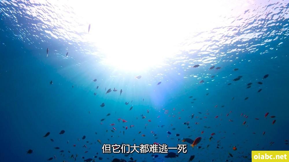 公主边写边塞东西剧照4